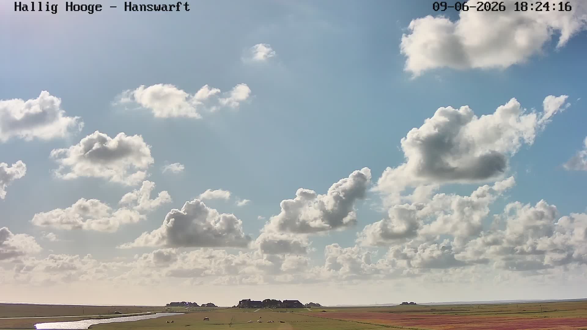 aktuelles Webcam-Bild